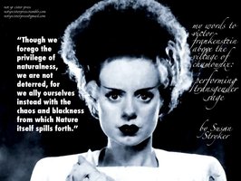 My Words to Victor Frankenstein above the Village of Chamounix: Performing Transgender Rage